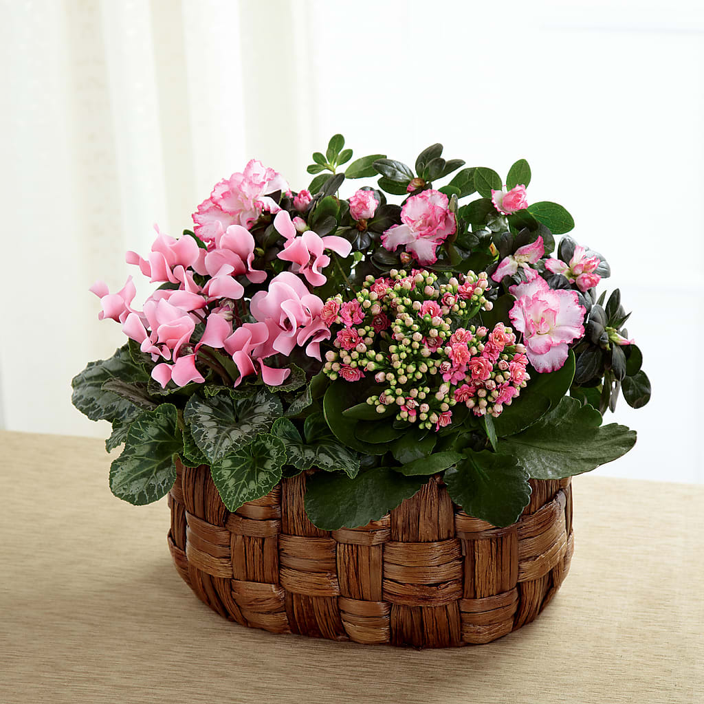 Pink Assortment – Moreno Valley Flower Box, Moreno Valley CA
