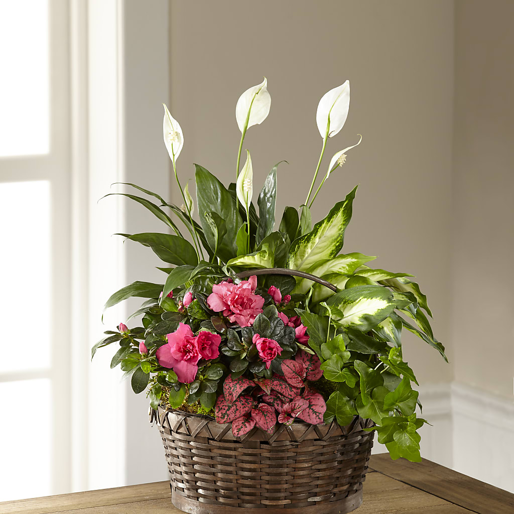 Dream in Pink Dishgarden – Moreno Valley Flower Box, Moreno Valley CA