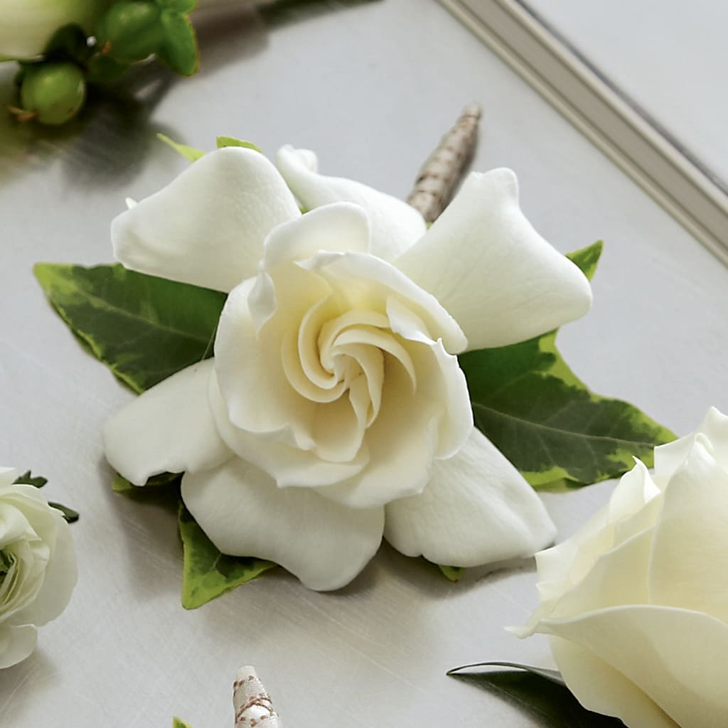 Gardenia Boutonniere – Moreno Valley Flower Box, Moreno Valley CA