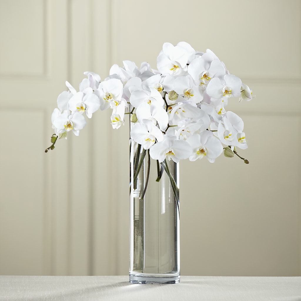 White Phalaenopsis Bouquet – Moreno Valley Flower Box, Moreno Valley CA