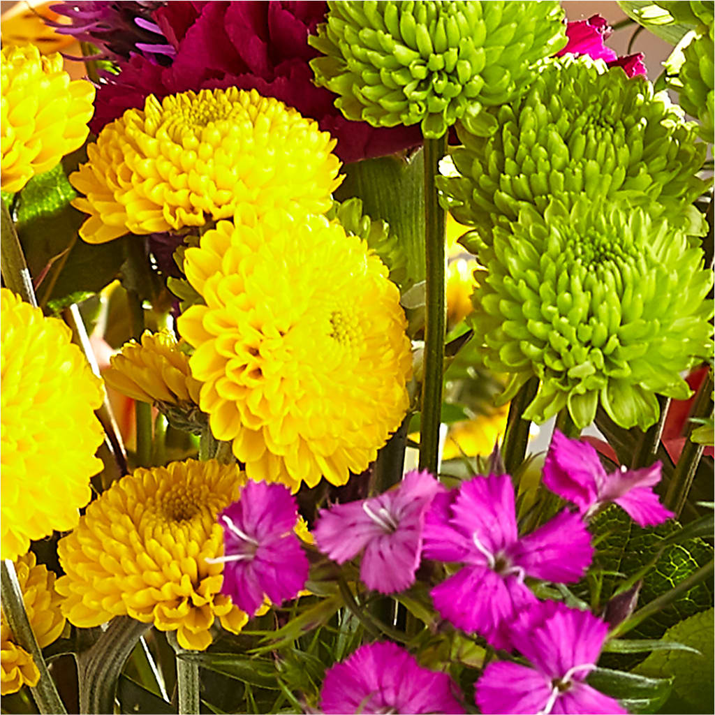 Bold & Bright – A Florist Original –  Moreno Valley Flower Box, Moreno Valley CA