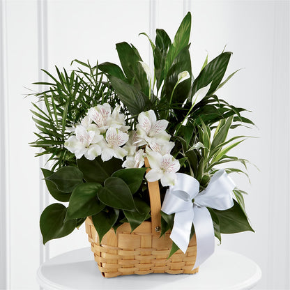 Peace & Serenity Dishgarden –  Moreno Valley Flower Box, Moreno Valley CA