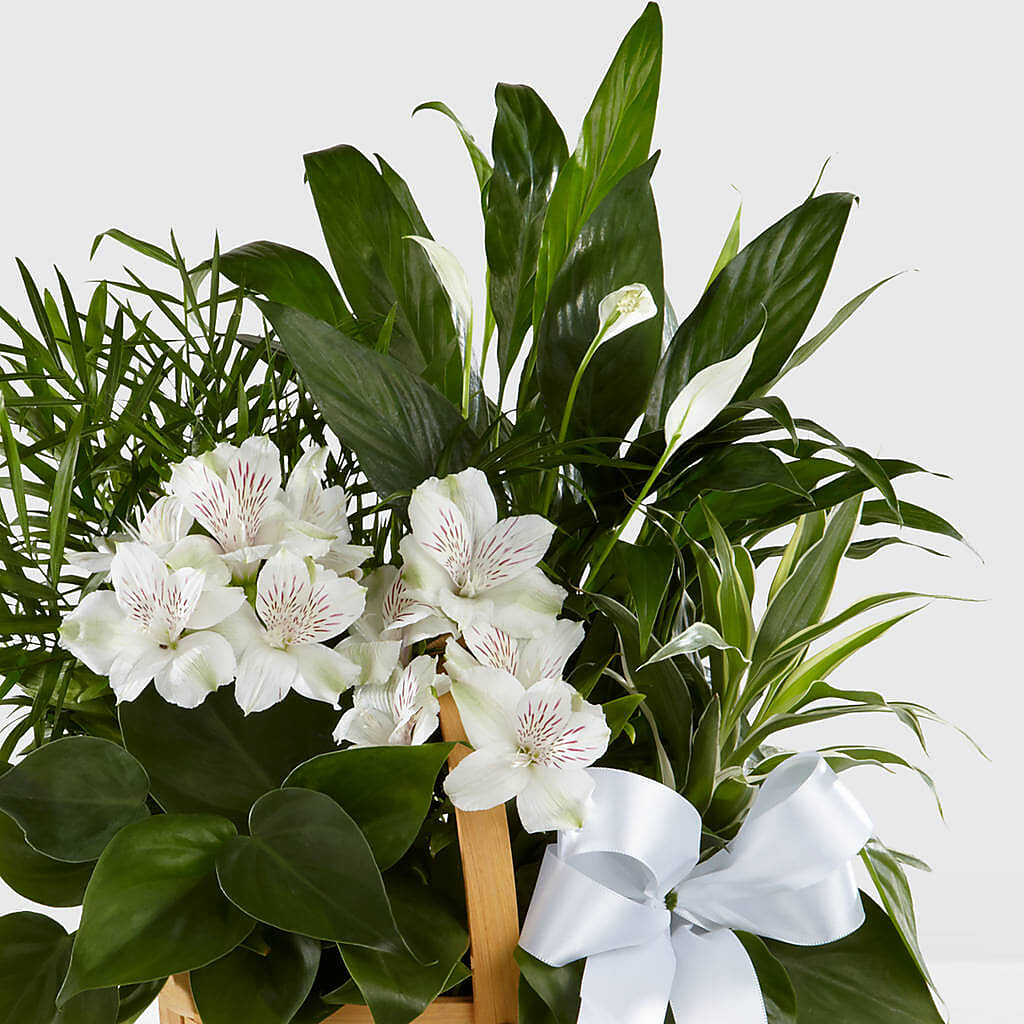 Peace & Serenity Dishgarden –  Moreno Valley Flower Box, Moreno Valley CA