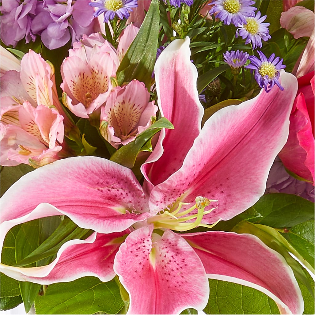 Written in the Stars Bouquet –  Moreno Valley Flower Box, Moreno Valley CA