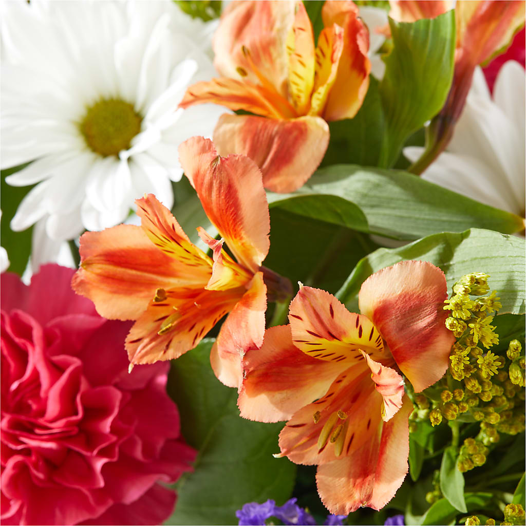 Oopsie Daisy Box Bouquet –  Moreno Valley Flower Box, Moreno Valley CA
