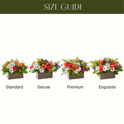 Oopsie Daisy Box Bouquet –  Moreno Valley Flower Box, Moreno Valley CA