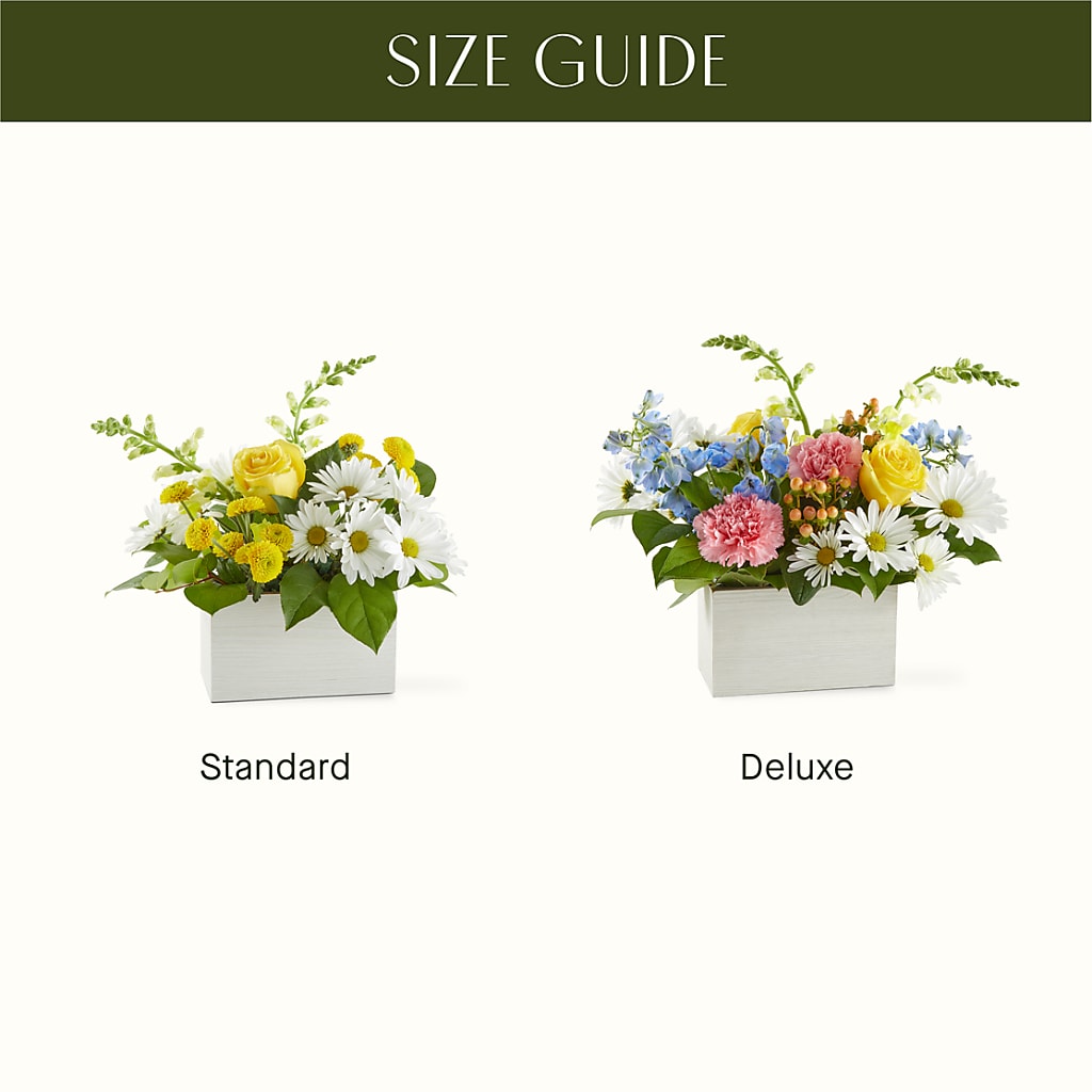 Sun Salutation Box Bouquet –  Moreno Valley Flower Box, Moreno Valley CA