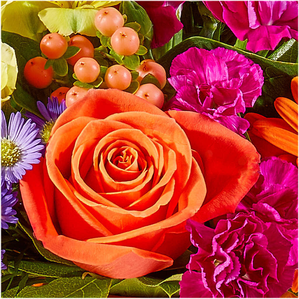 Tricks & Treats Pumpkin –  Moreno Valley Flower Box, Moreno Valley CA