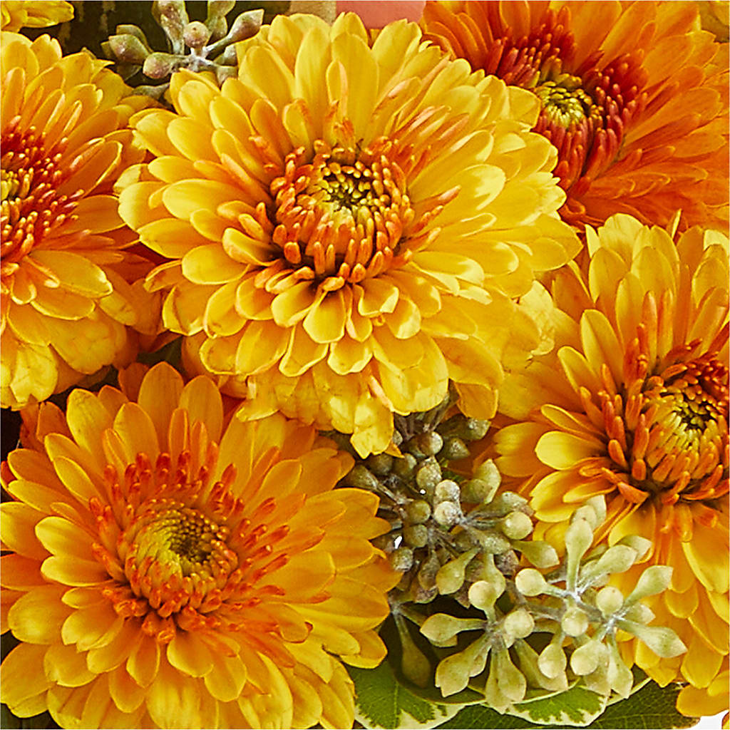 Peachy Pumpkin –  Moreno Valley Flower Box, Moreno Valley CA