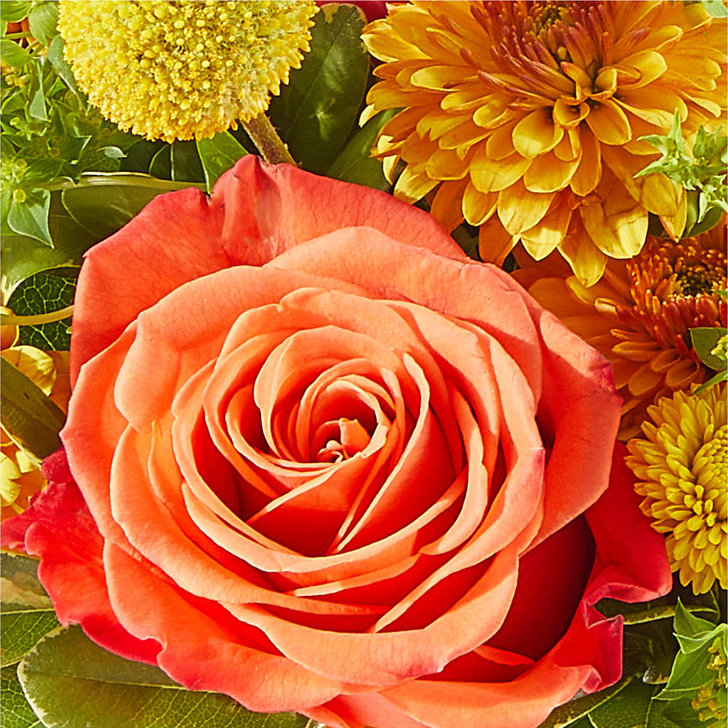 Gourdgeous Pumpkin –  Moreno Valley Flower Box, Moreno Valley CA