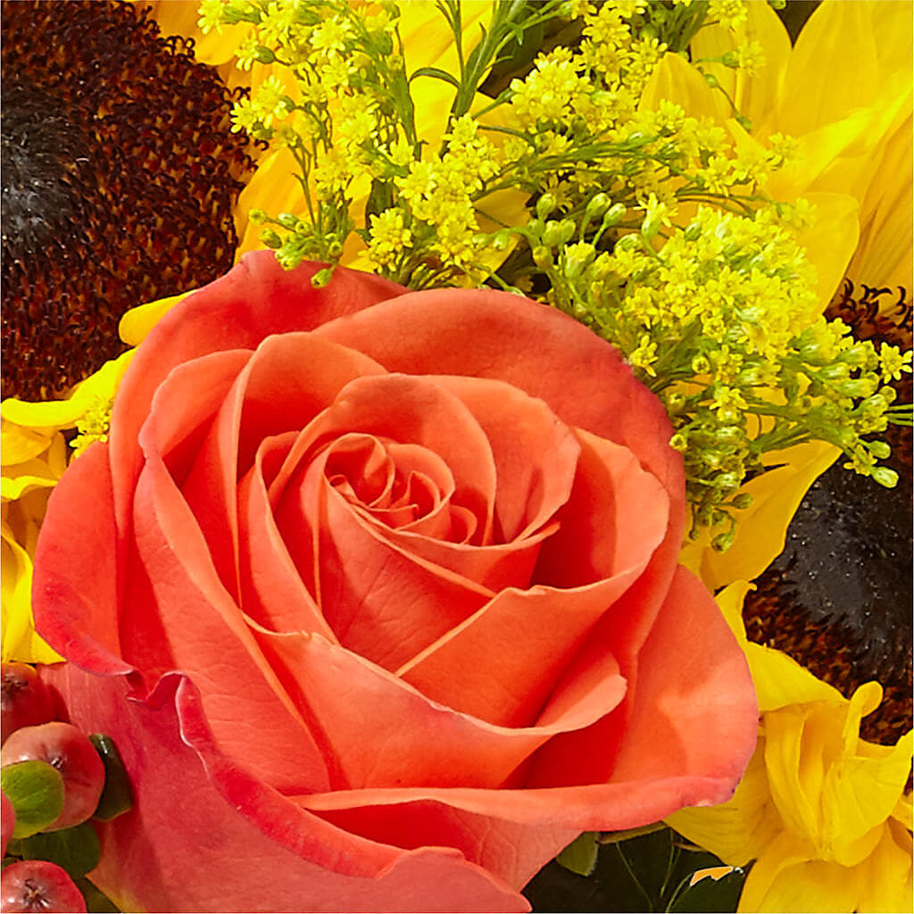 Pick of the Patch Pumpkin Bouquet –  Moreno Valley Flower Box, Moreno Valley CA