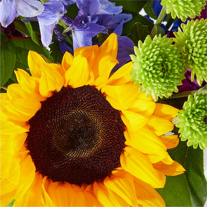 Catching Rays Bouquet –  Moreno Valley Flower Box, Moreno Valley CA