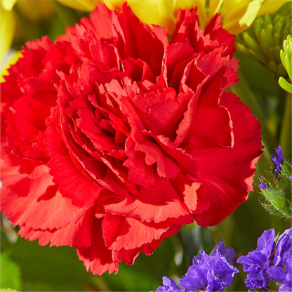 Brighter Days Bouquet –  Moreno Valley Flower Box, Moreno Valley CA