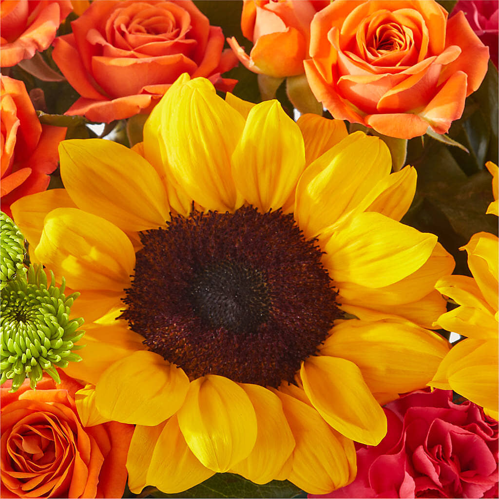 Sun-drenched Blooms Box Bouquet –  Moreno Valley Flower Box, Moreno Valley CA