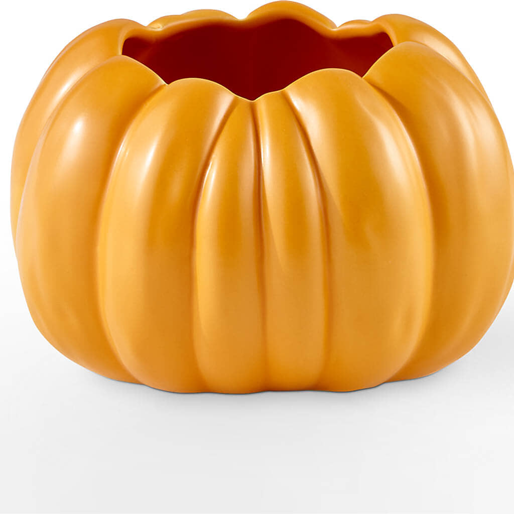 Pick of the Patch Pumpkin Bouquet –  Moreno Valley Flower Box, Moreno Valley CA