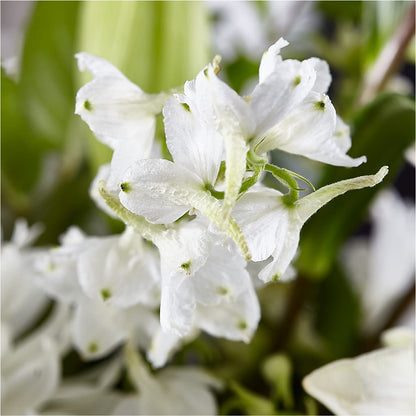 Classic Ivory – A Florist Original –  Moreno Valley Flower Box, Moreno Valley CA