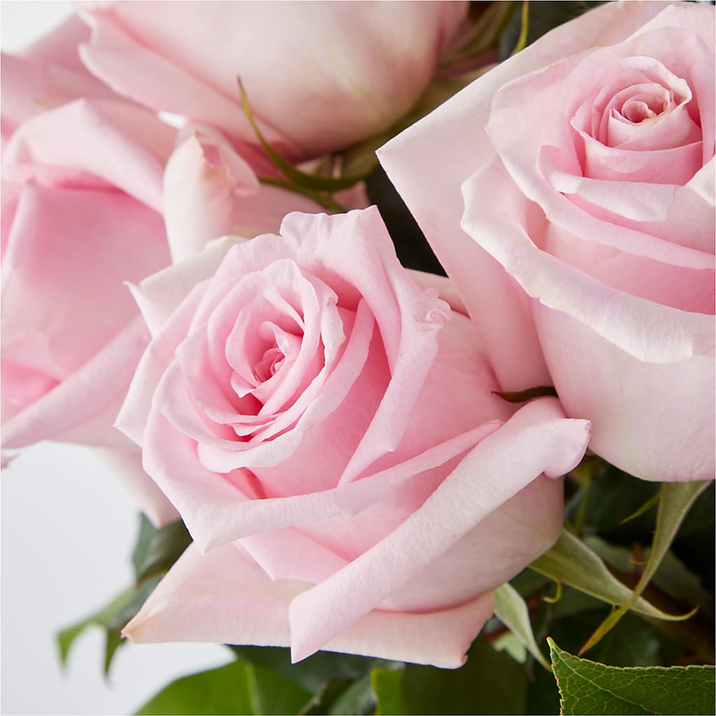 Picture Perfect Pink Rose Bouquet –  Moreno Valley Flower Box, Moreno Valley CA