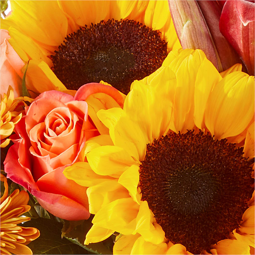 Acorn Lane Bouquet –  Moreno Valley Flower Box, Moreno Valley CA