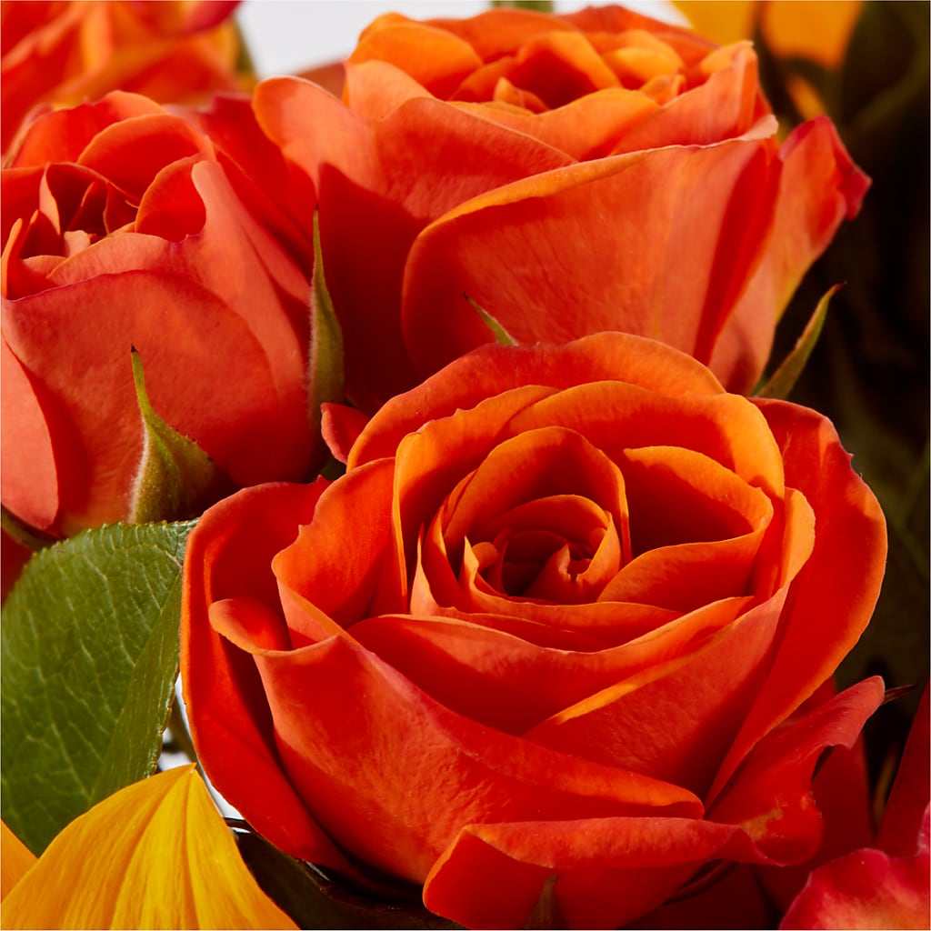 Picnic in the Park Bouquet –  Moreno Valley Flower Box, Moreno Valley CA