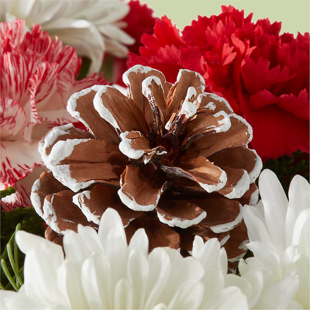 Candy Cane Lane Bouquet –  Moreno Valley Flower Box, Moreno Valley CA