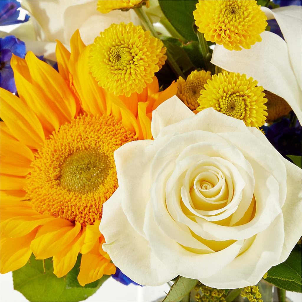 Stargazing Bouquet –  Moreno Valley Flower Box, Moreno Valley CA