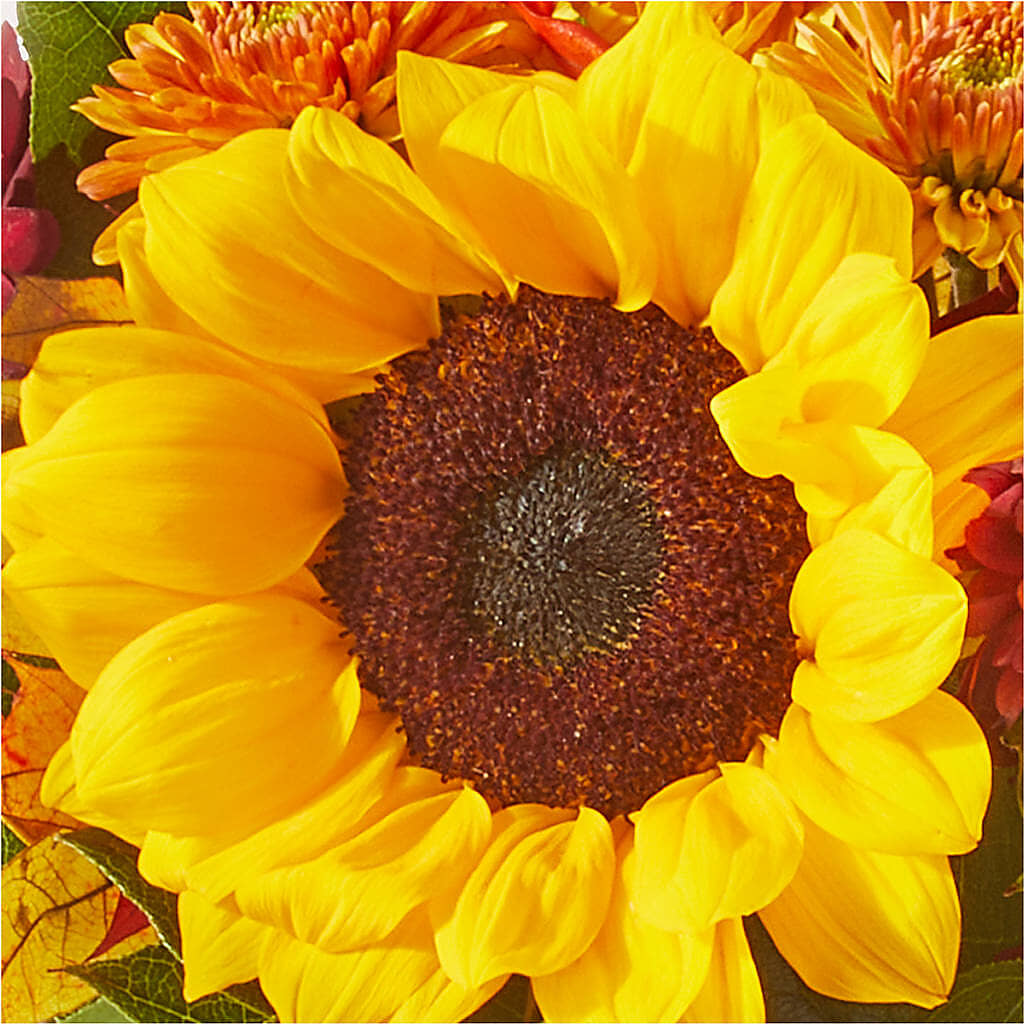 Sunny Side Bouquet –  Moreno Valley Flower Box, Moreno Valley CA