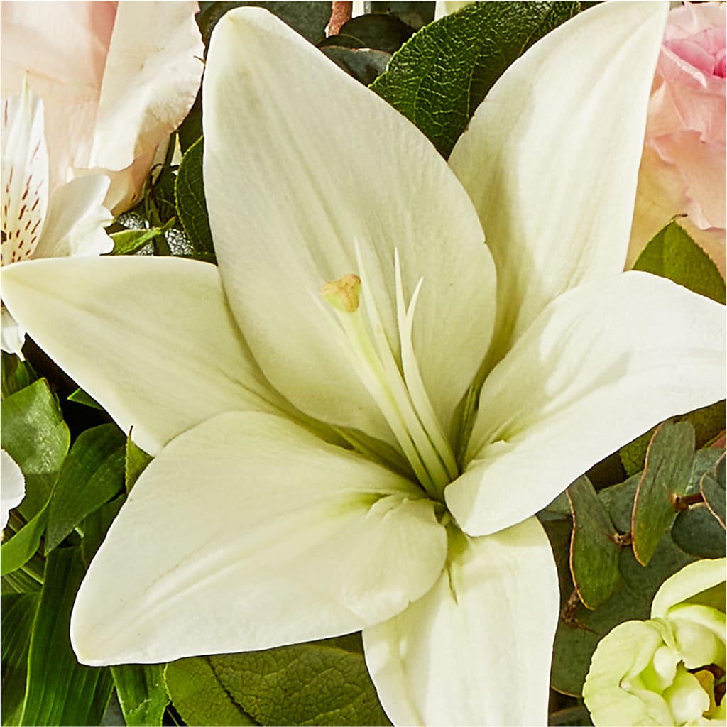 Ballet Slippers Bouquet –  Moreno Valley Flower Box, Moreno Valley CA