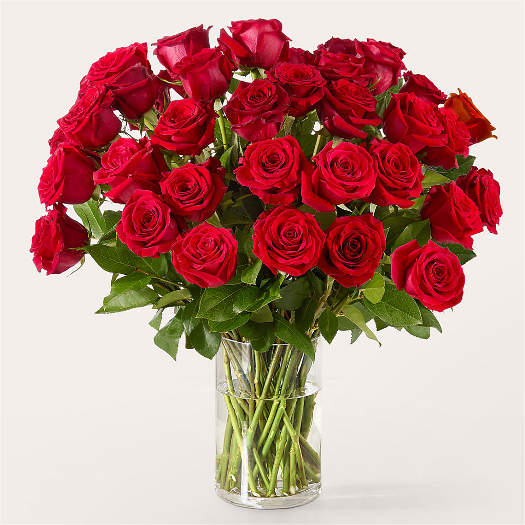 The One Red Rose Bouquet –  Moreno Valley Flower Box, Moreno Valley CA