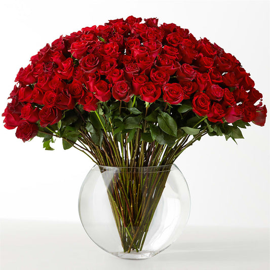 The Idealist –  Moreno Valley Flower Box, Moreno Valley CA