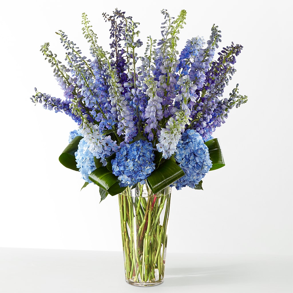 The Editorial –  Moreno Valley Flower Box, Moreno Valley CA