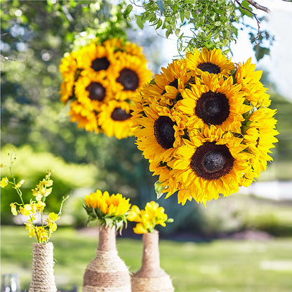 Sublime Garden Hanging Arrangement –  Moreno Valley Flower Box, Moreno Valley CA