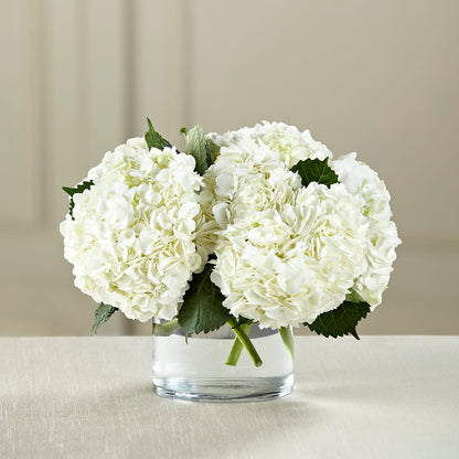 White Hydrangea Bouquet –  Moreno Valley Flower Box, Moreno Valley CA