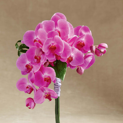 Glorious Bouquet –  Moreno Valley Flower Box, Moreno Valley CA